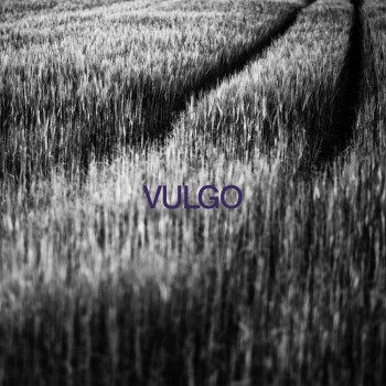 Vulgo